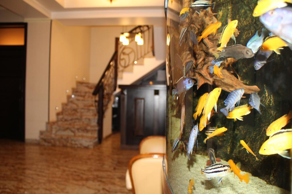 Hotel Anna Junior Târgu Jiu المظهر الخارجي الصورة
